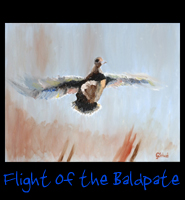 Flight of the Baldpate - 24 X 30 Acrylic on Stretched Canvas with Gallery Wrap Blue Border