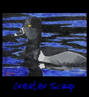 Greater Scaup - 30x40 Acrylic on Stretched Canvas with Black Gallery Wrap Border - Painting by Greg Schwab