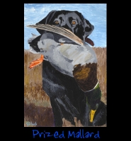Prized Mallard - 24x36 Acrylic on Stretched Canvas with Image Wrap Border - Painting by Greg Schwab