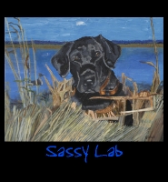 Sassy Lab - 24x30 Acrylic on Stretched Canvas with Image Wrap Border - Painting by Greg Schwab