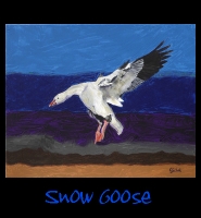 Snow Goose - 24x30 Acrylic on Stretched Canvas with Image Wrap Border - Painting by Greg Schwab