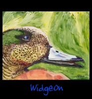 Widgeon - 22x28 Acrylic on Stretched Canvas with Green Gallery Wrap Border - Painting by Greg Schwab