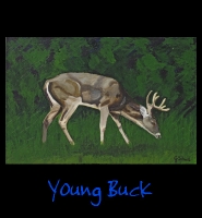 Young Buck - 24x36 Acrylic on Stretched Canvas with Black Gallery Wrap Border - Painting by Greg Schwab