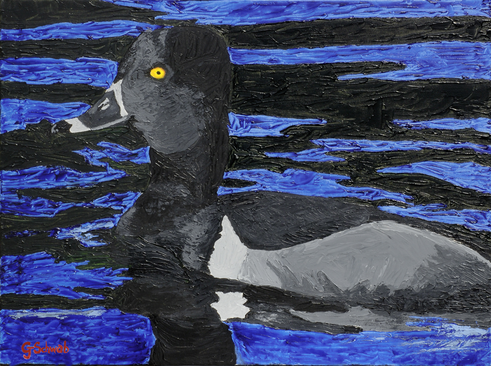 Greater Scaup - 30x40 Acrylic on Stretched Canvas with Black Gallery Wrap Border