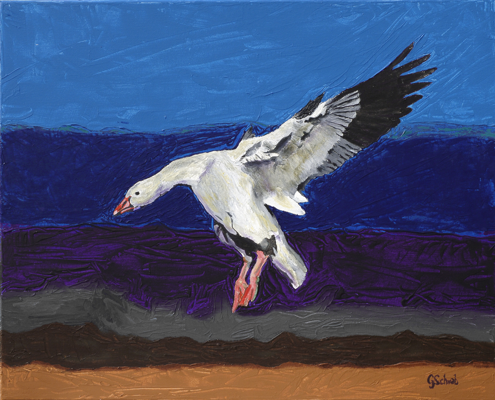 Snow Goose - 24x30 Acrylic on Stretched Canvas with Image Wrap Border