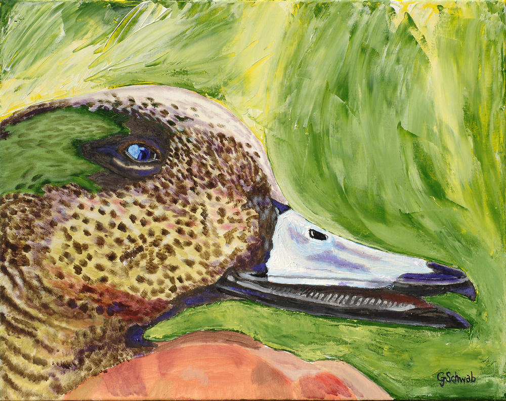 Widgeon - 22x28 Acrylic on Stretched Canvas with Green Gallery Wrap Border