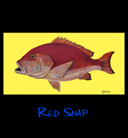 Red Snap - 16x30 Acrylic on Stretched Canvas - Painting by Greg Schwab