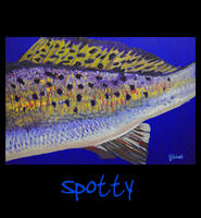 Spotty - 24x36, Acrylic on Stretched Canvas with Image Wrap Border - Painting by Greg Schwab