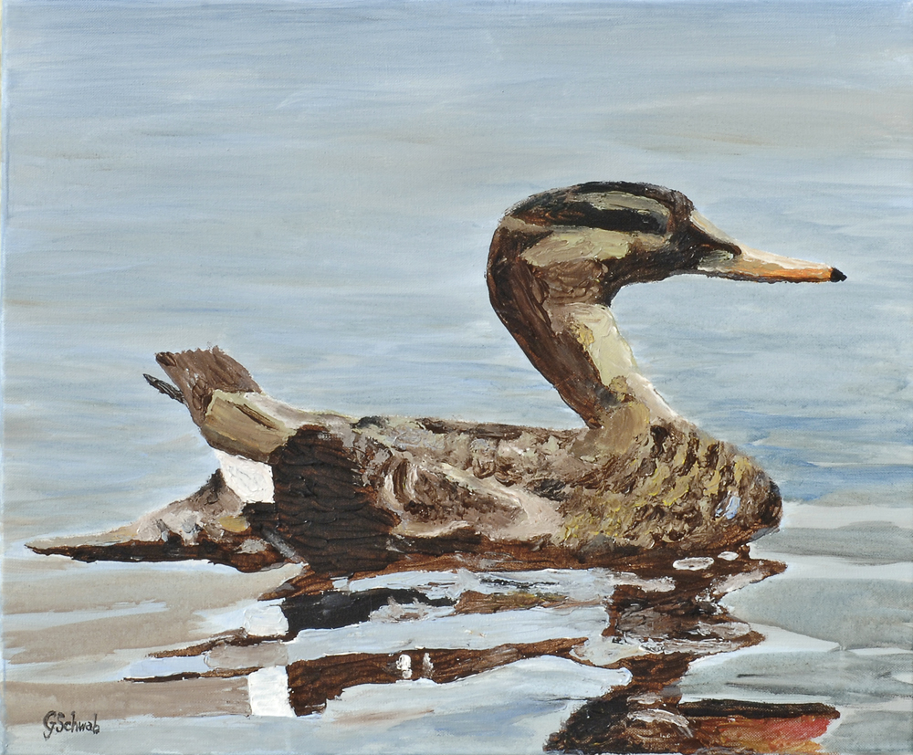 Prepare to Fly -  20x24 Acrylic on Stretched Canvas with Blue Gallery Wrap Border