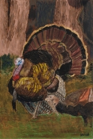 Daddy Gobbler
