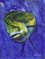 Dolphin Blue