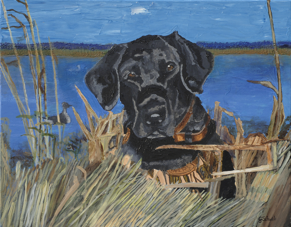 Sassy Lab - 24x30 Acrylic on Stretched Canvas with Image Wrap Border